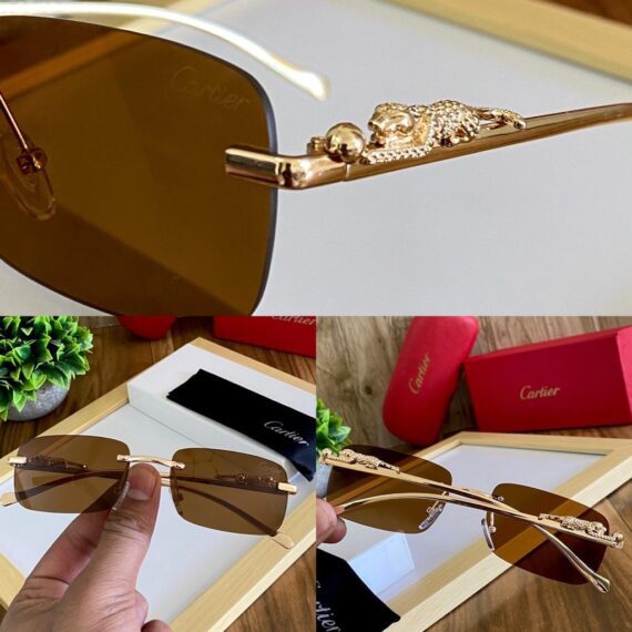 Cartier sunglasses 22