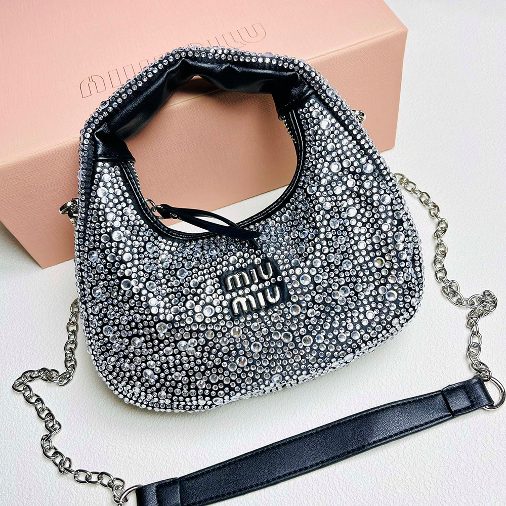 Miu Miu Wander handbag