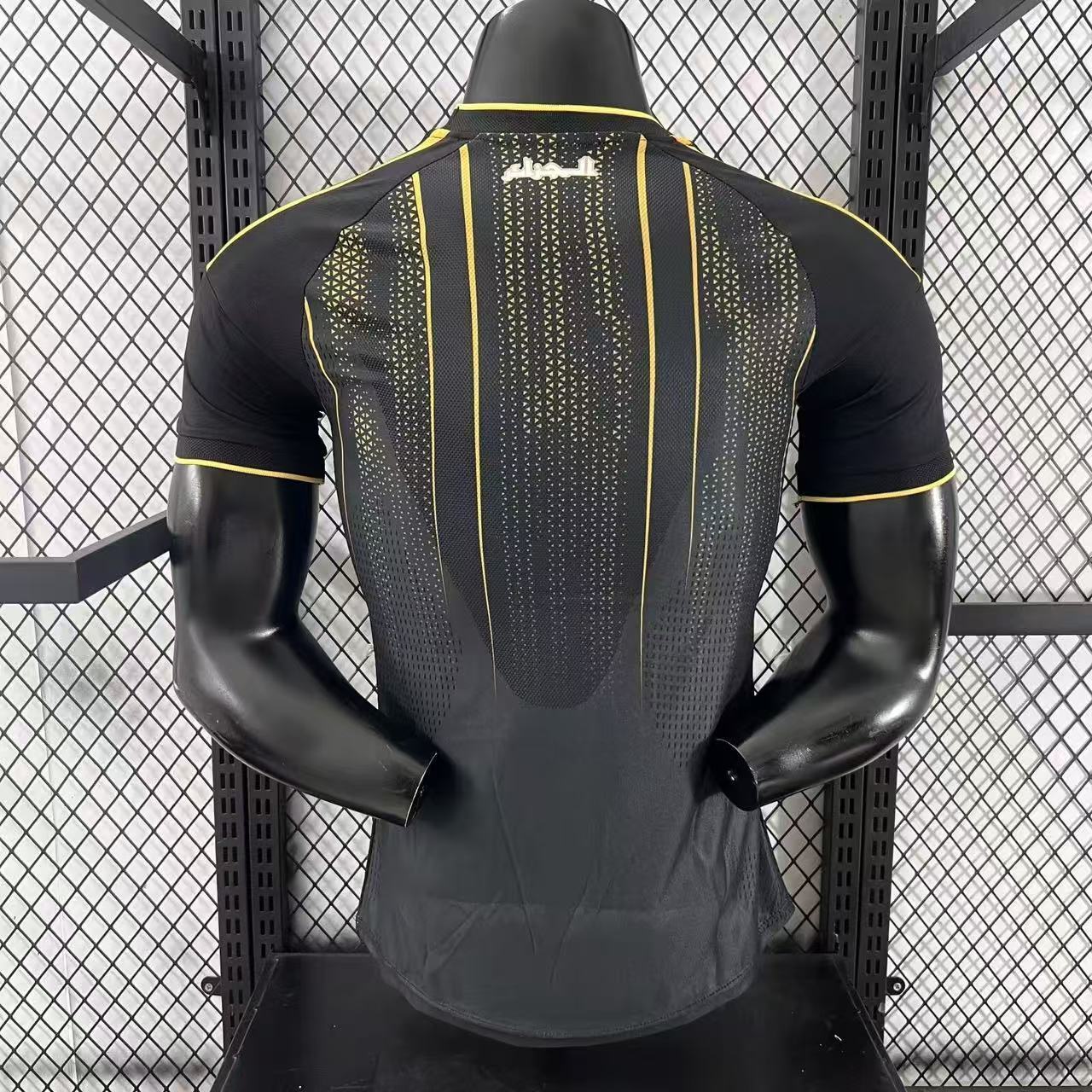 2026 Algeria Pre-match Training Football Shirt (Player Edition)