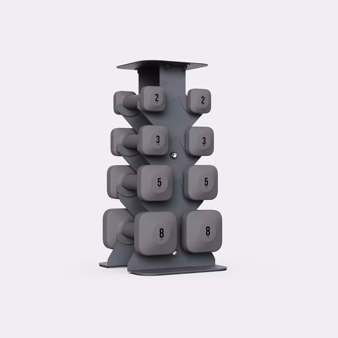 WeGym  SafeGrip Dumbbells Lower Set with Dark Rack