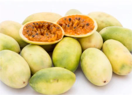 Curuba – Exotic banana passion fruit for connoisseurs