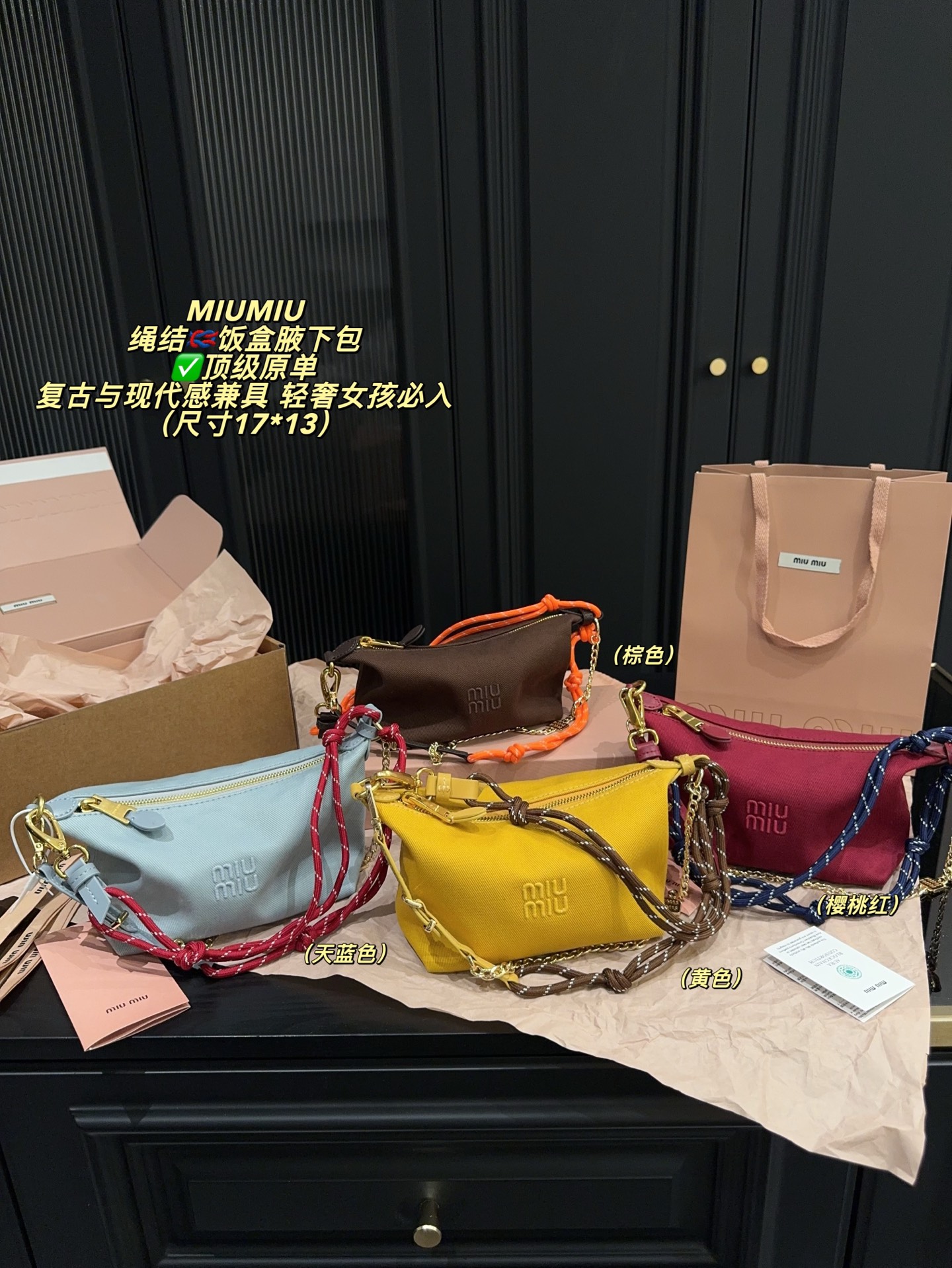 Miu Miu Pouches Bag