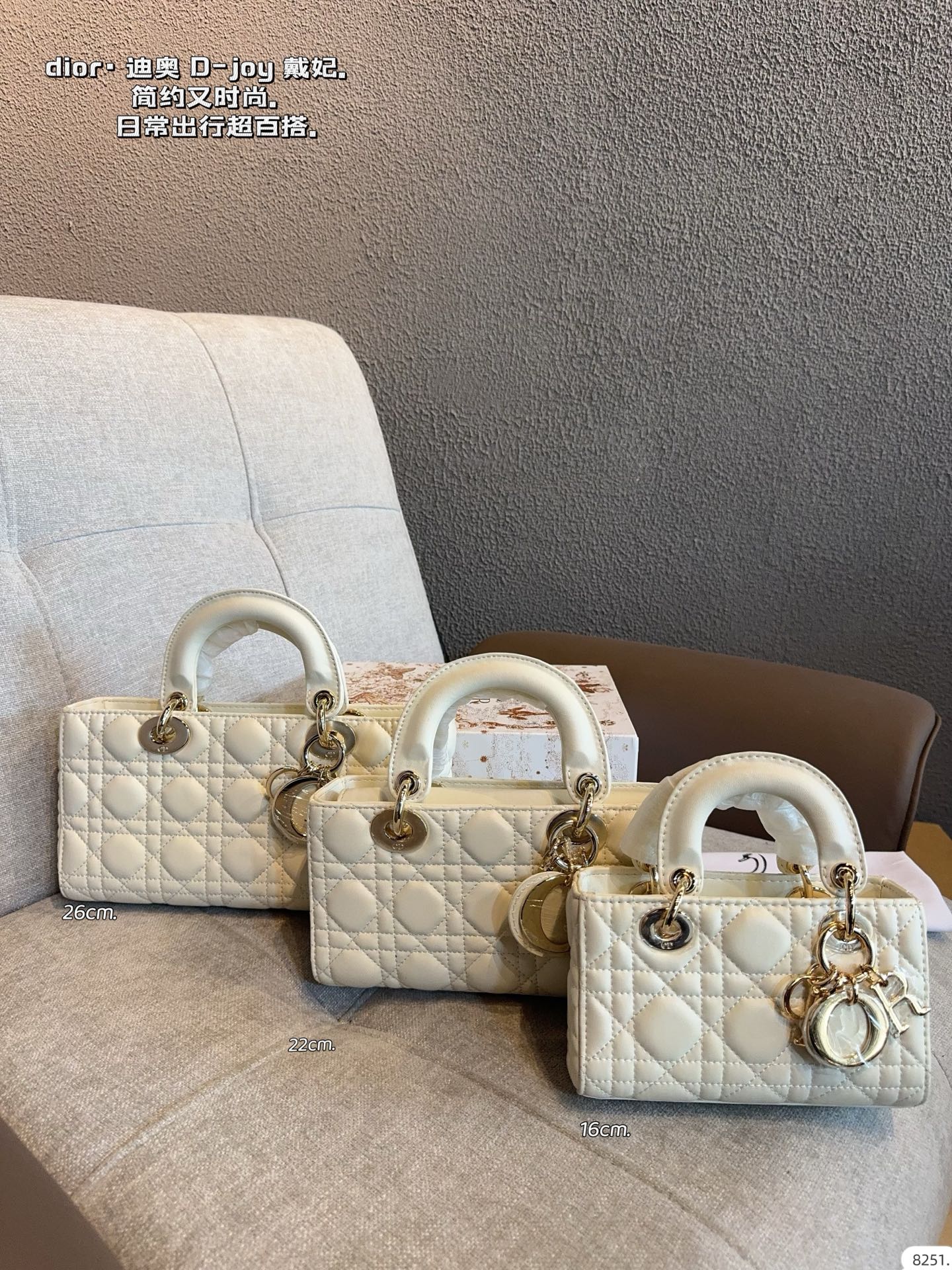 Dior Lady D-joy Horizontal Bag