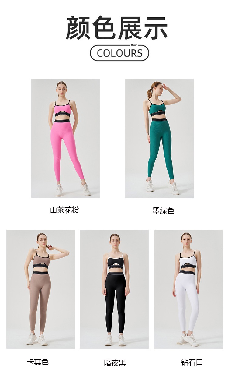 Alo Style Seamless Ribbed Set