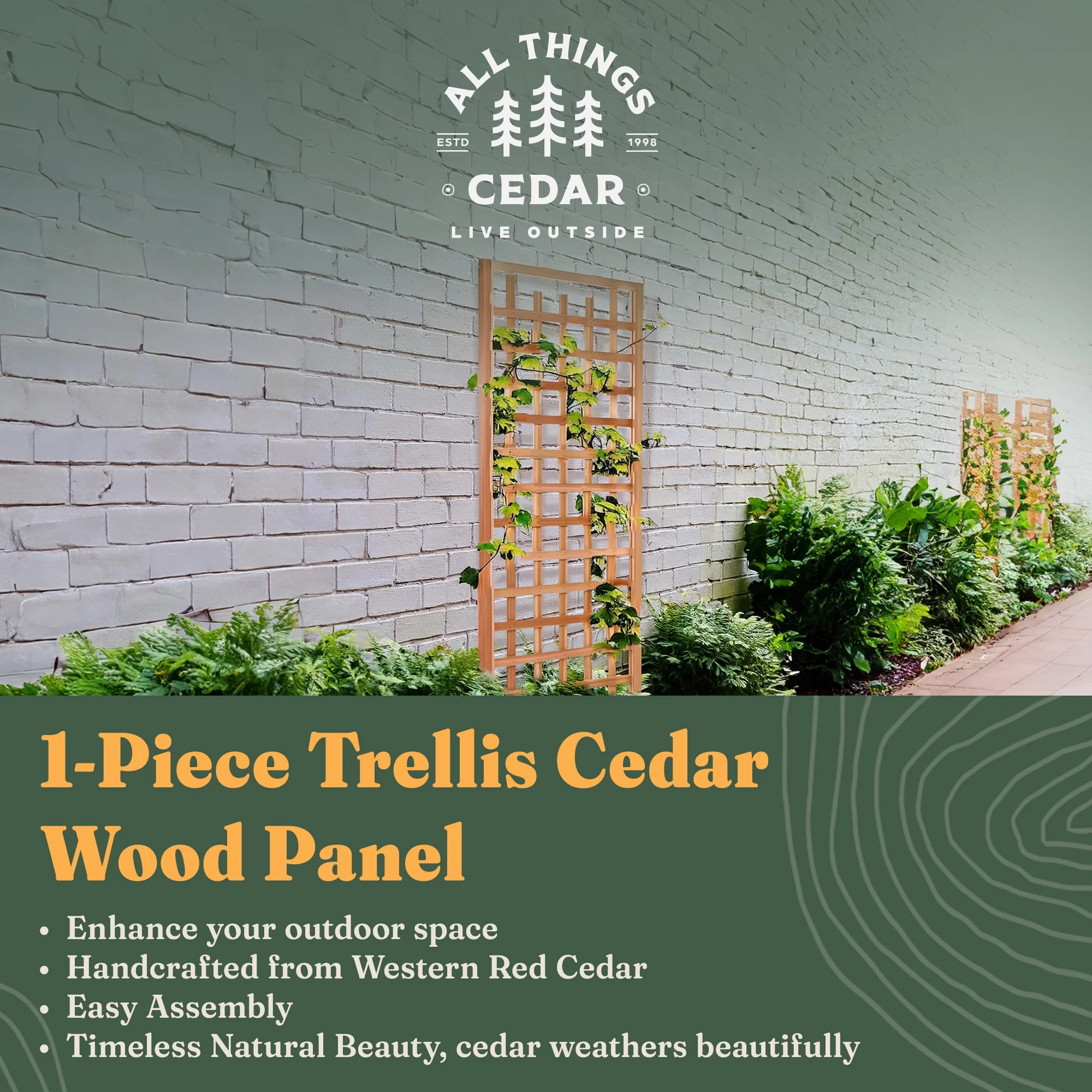 All Things Cedar TS33 Trellis Panel - Cedar Garden Trellis for Climbing Plants