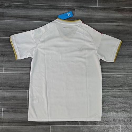 Fan version 2026 Venezuela away