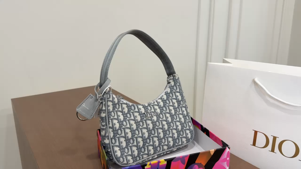 Dior Hobo Underarm Bag