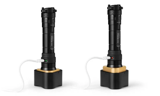 Wolf Eyes Owl Zoomable Flashlight