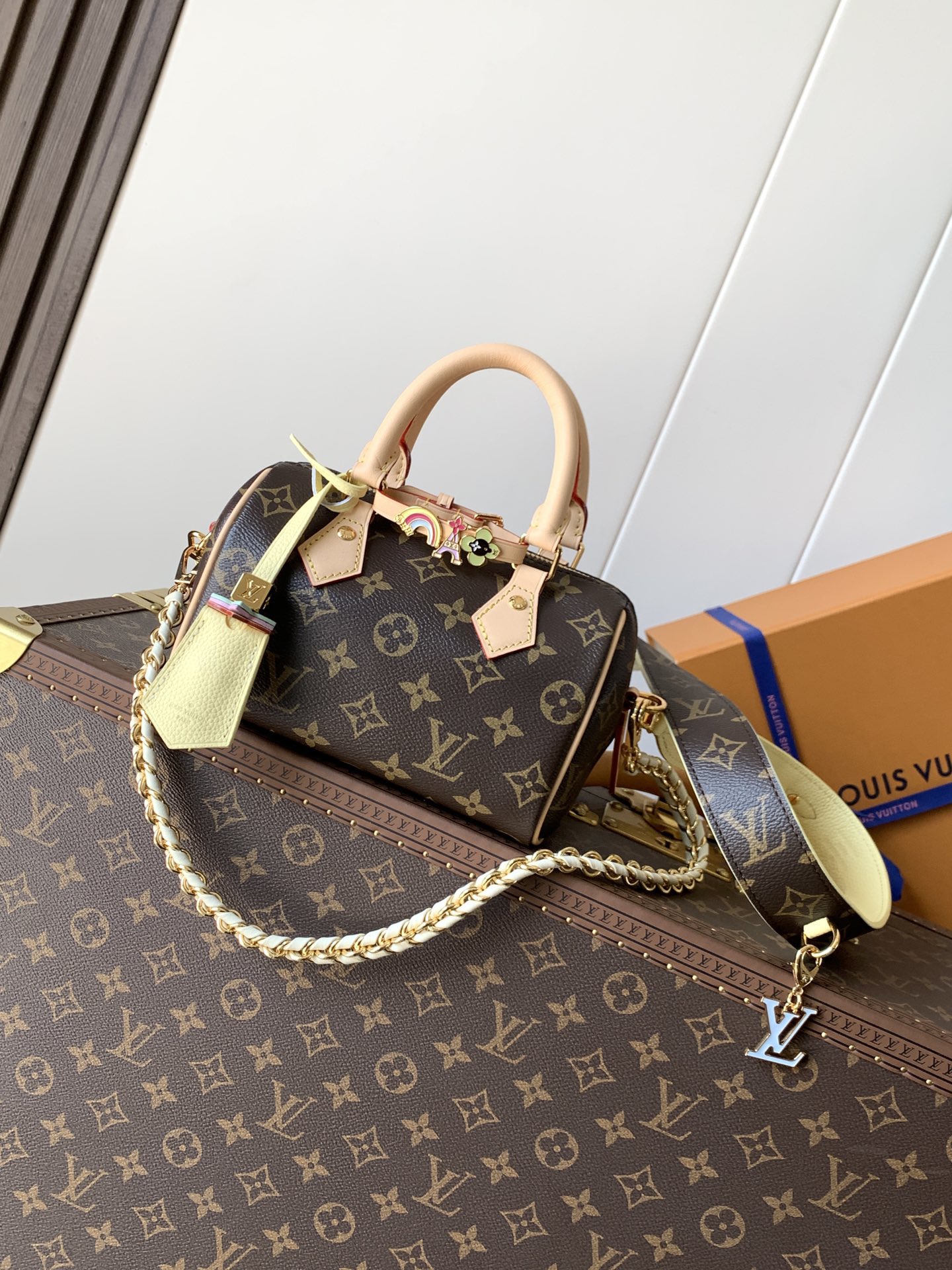 [10A]LV Speedy 18 Bag