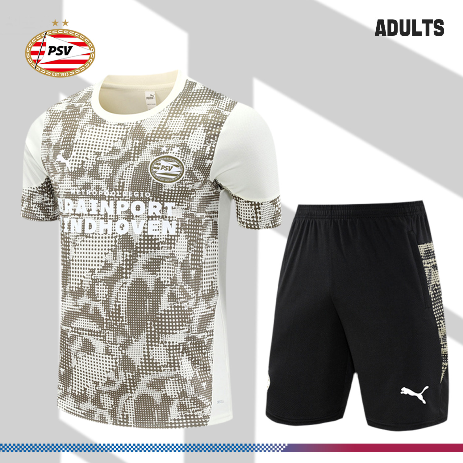 2025/2026 PSV Eindhoven Adult Short Sleeve Training Wear (Adult Kit)