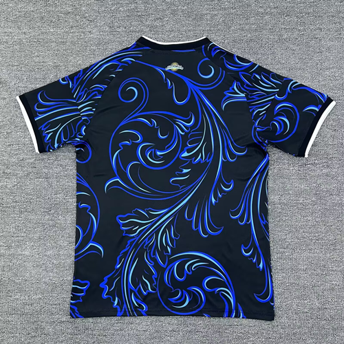 Fan version 2026 Argentina away