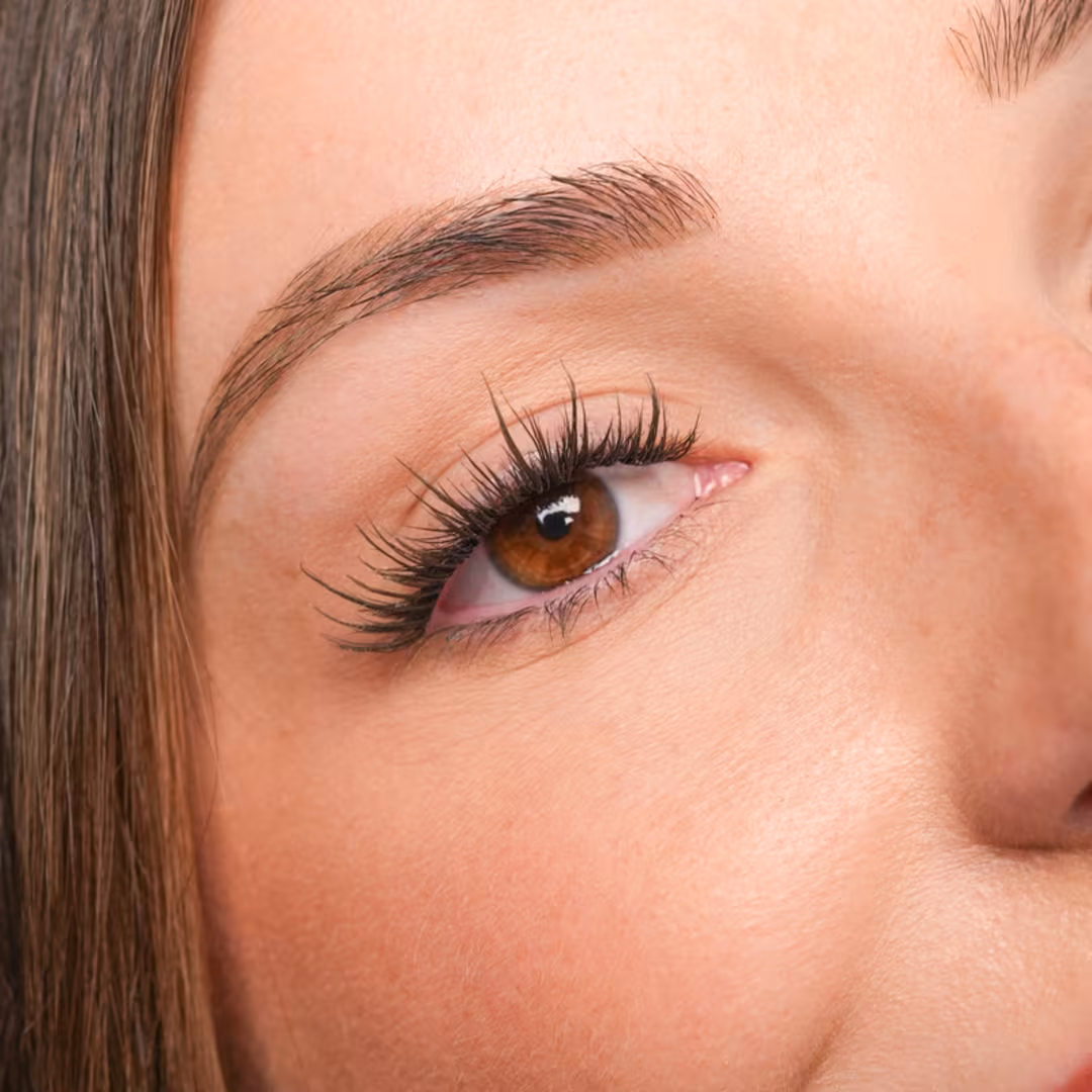 TAD  Muse Stripment DIY Lash Clusters Intro Kit