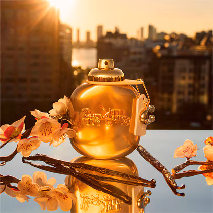 Coach Gold Coach Parfum Spray Gift Set 50ML