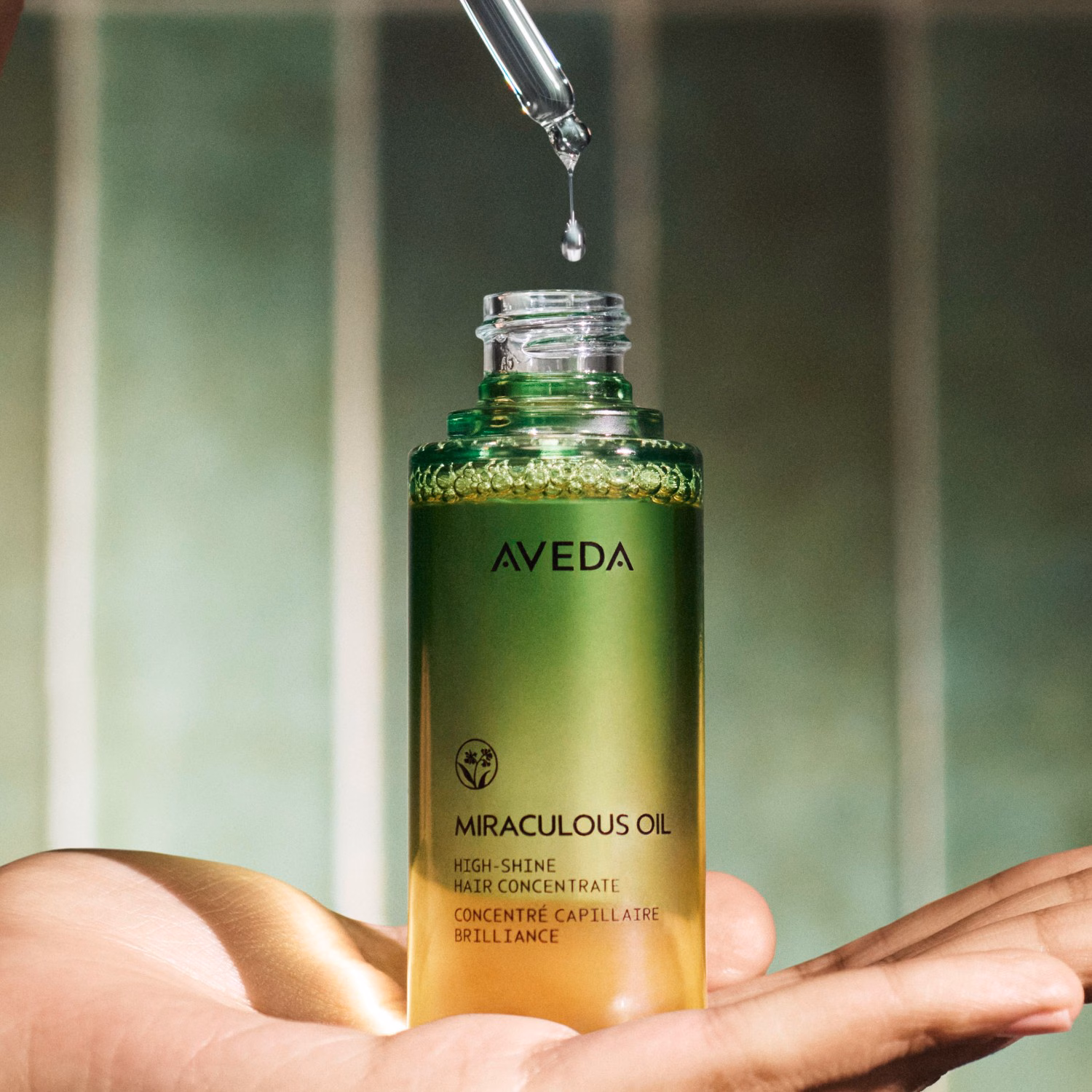 Miraculous Oil
