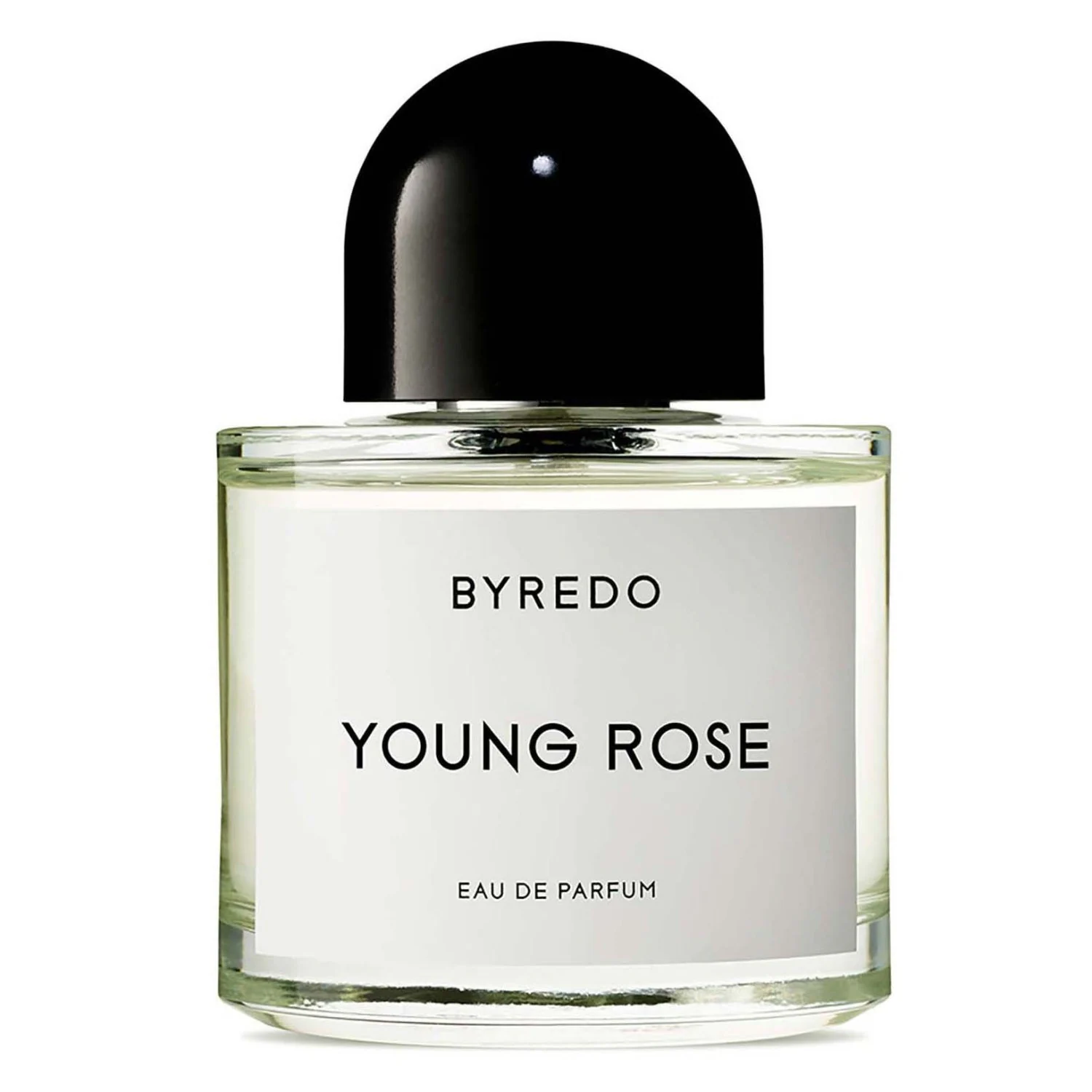 Young Rose