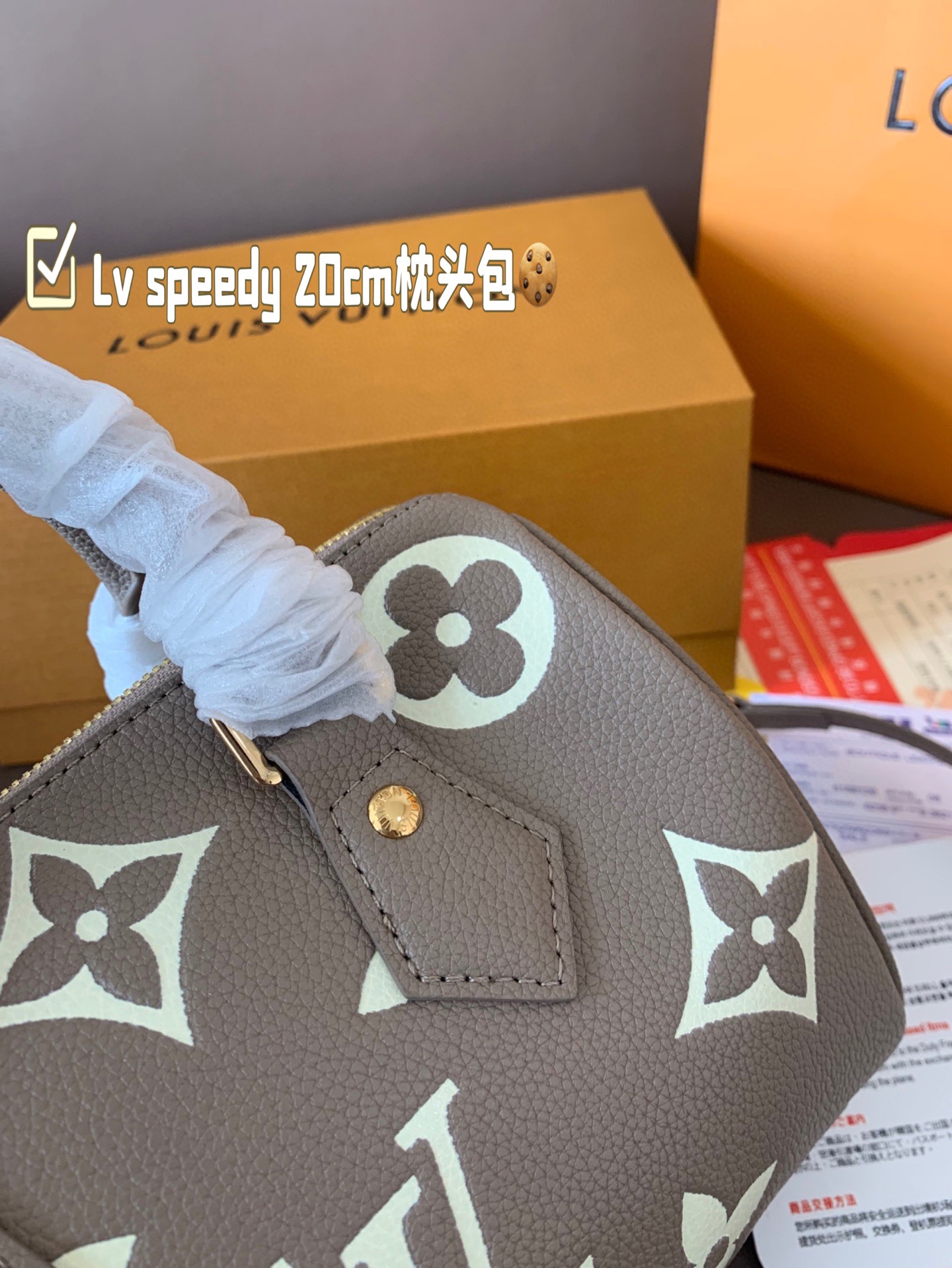 LV Speedy 20cm Pillow Bag