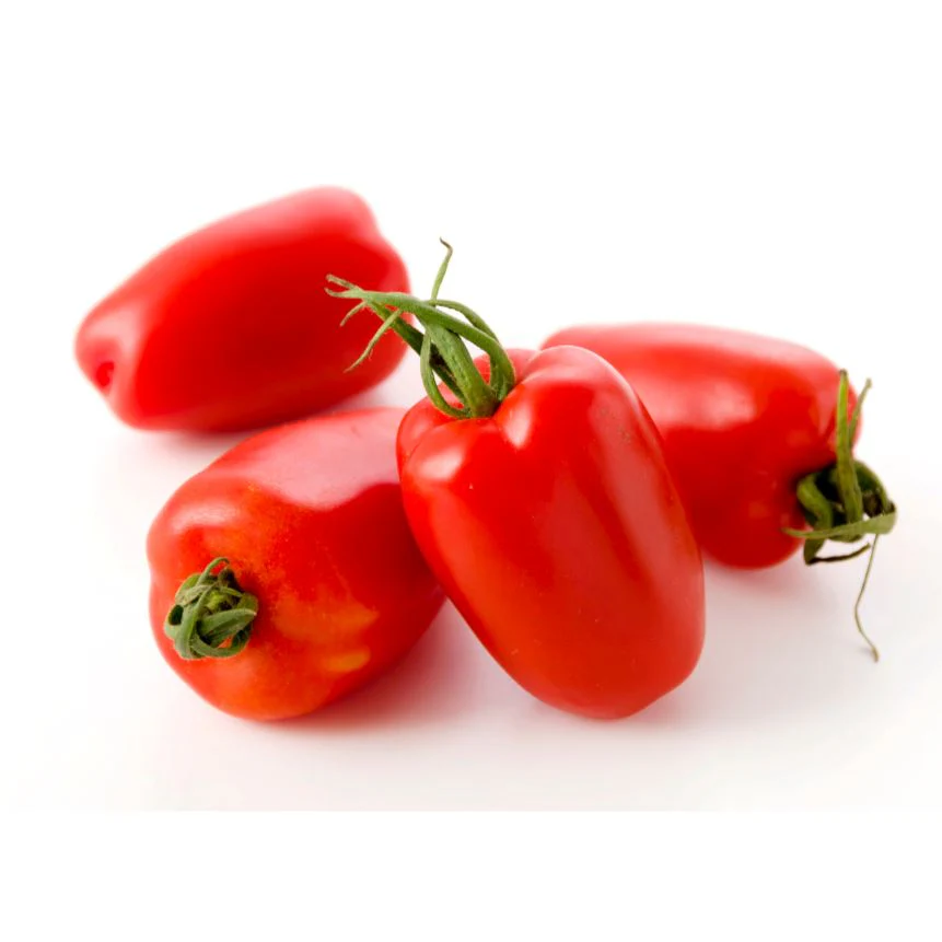 San Marzano tomatoes – Italian classics