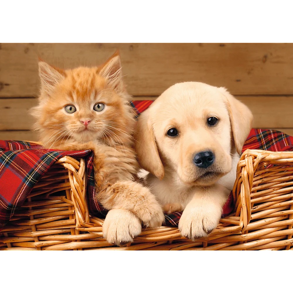 Puzzle 500 El. Razem Lepiej