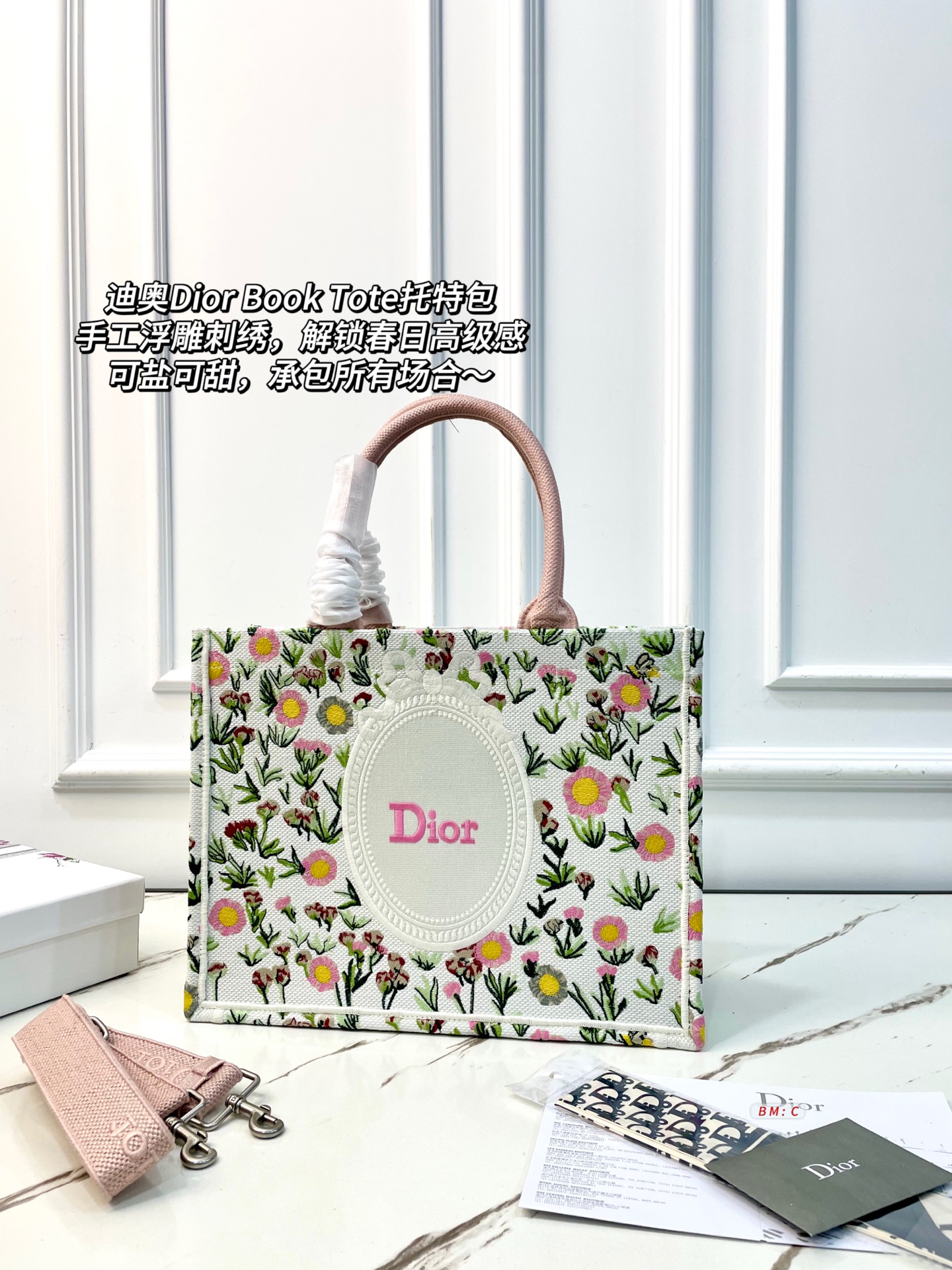 Dior Book Tote Bag