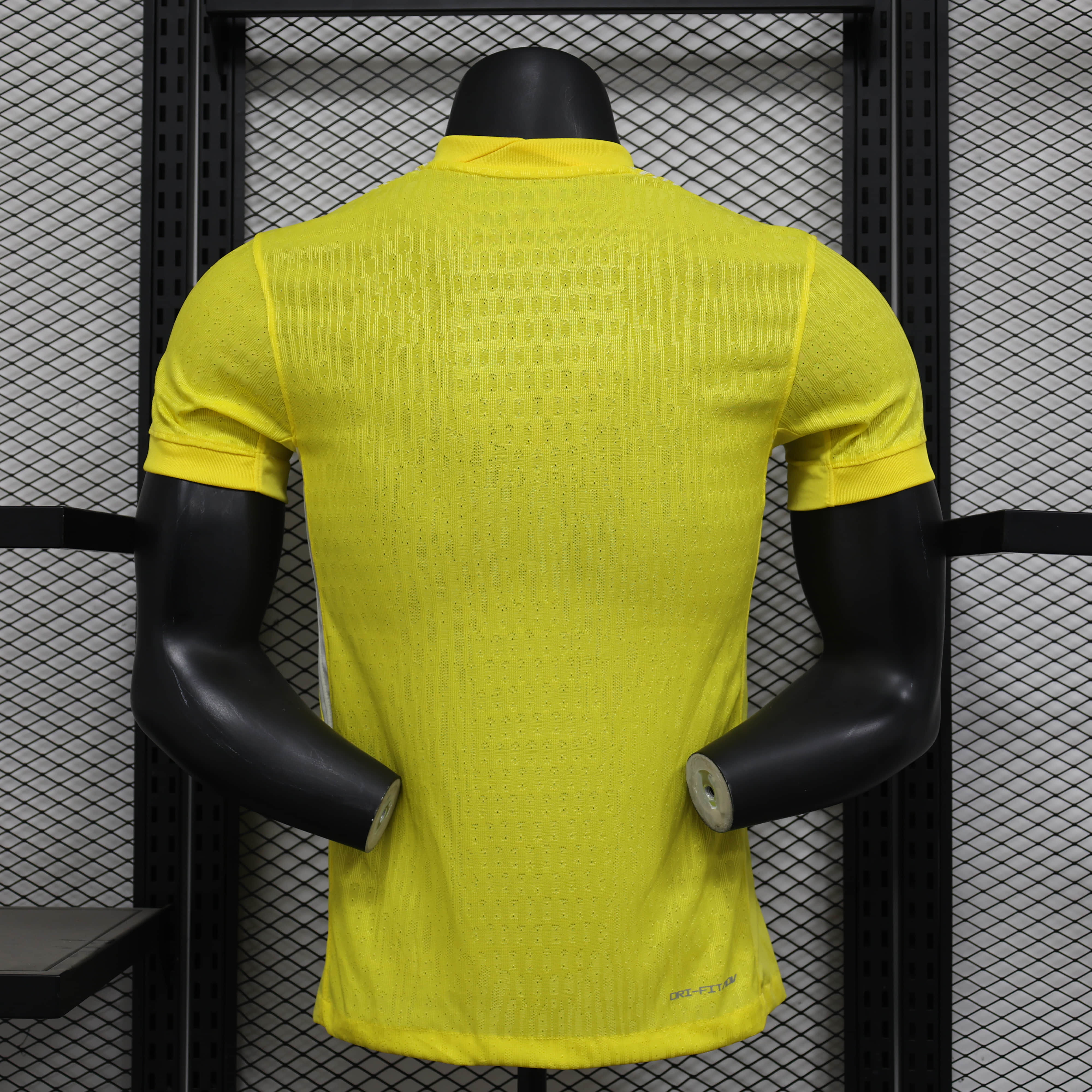 France 2025-26 Leaked Goalkeeper Jersey Player Version