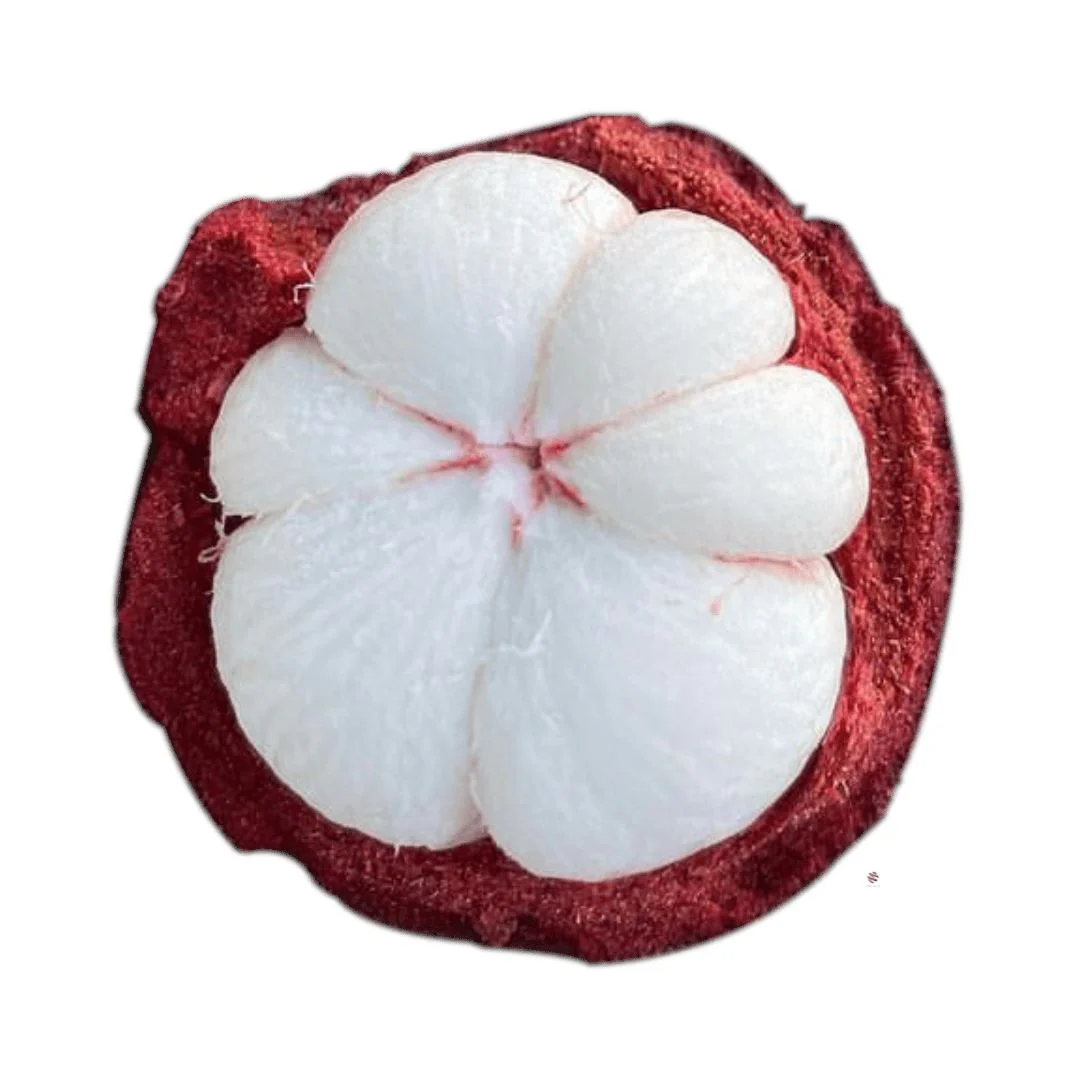 Mangosteen – Fresh exotic superfruit