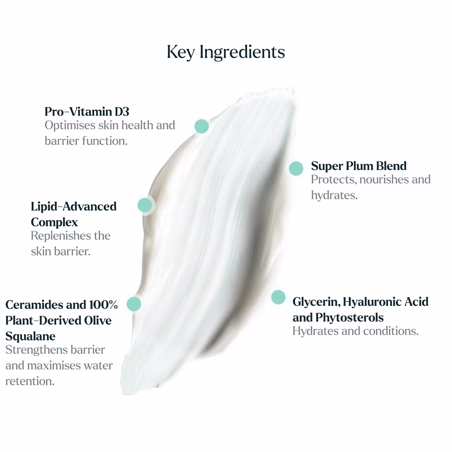 The Moisturiser Fragrance Free | Feuchtigkeitscreme parfümfrei