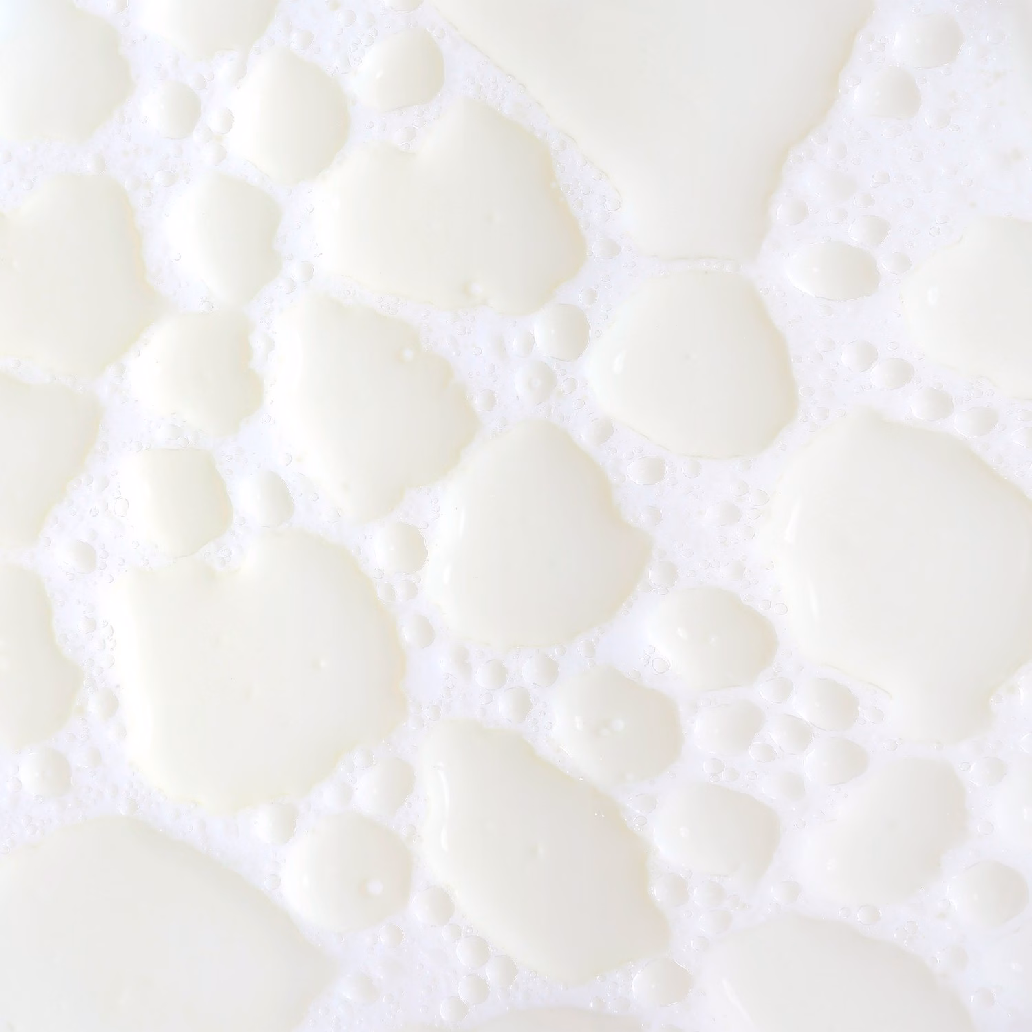 Milky Mushroom