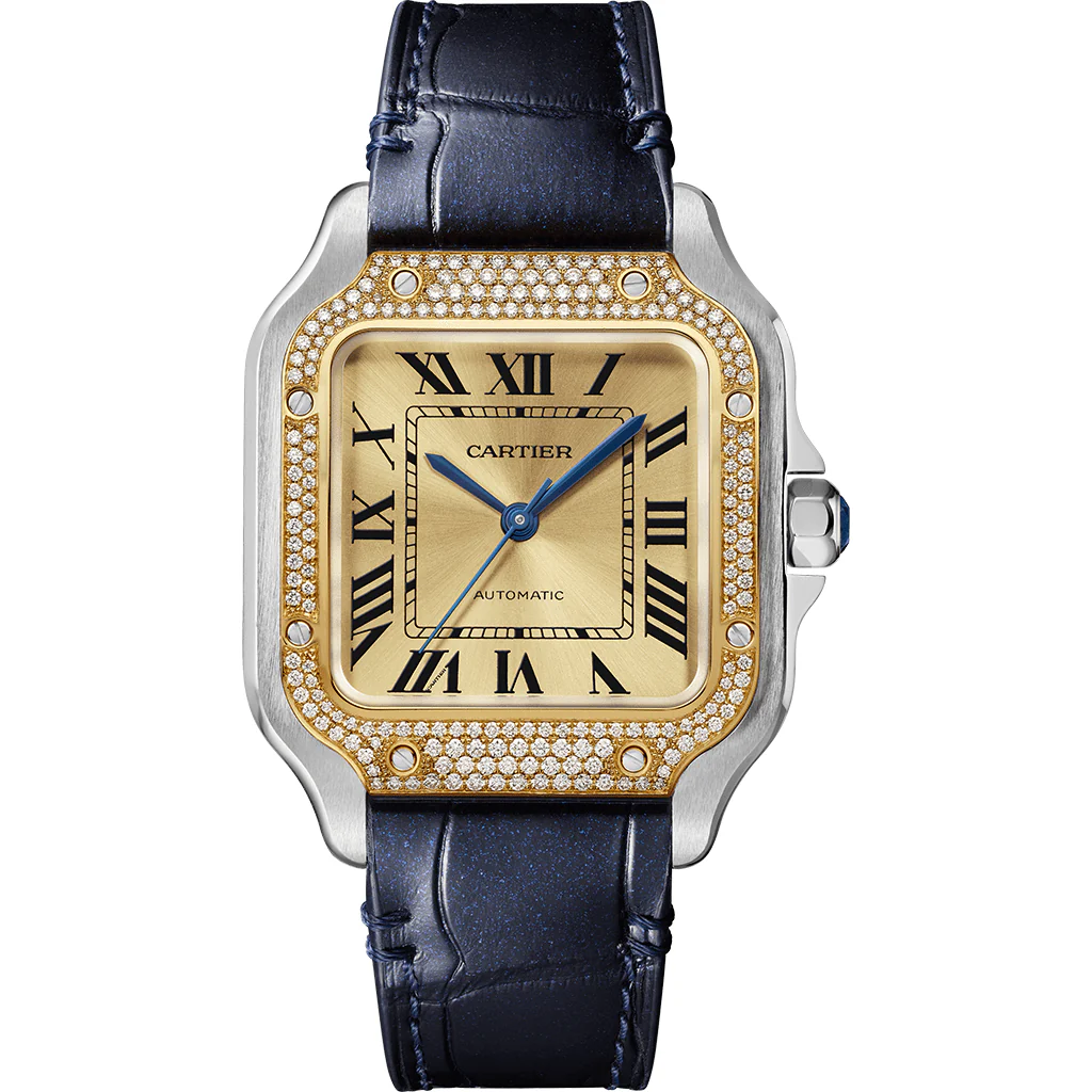 Cartier Santos de Cartier watch CRW3SA0007(Box NOT Included)
