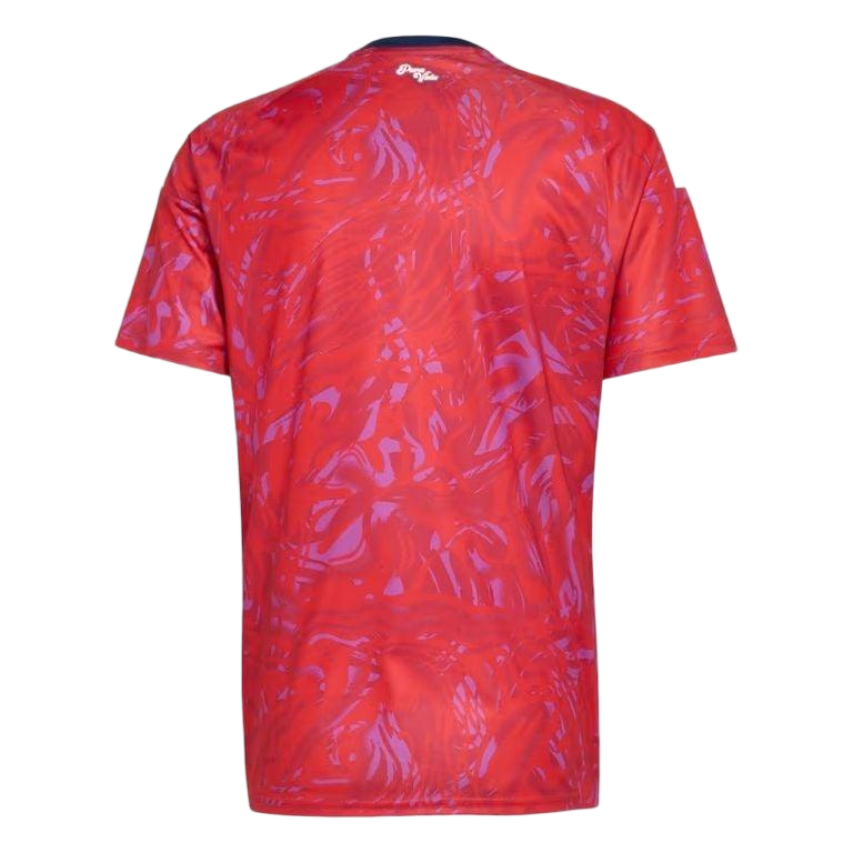 Costa Rica 2026 World Cup Home Soccer Jersey
