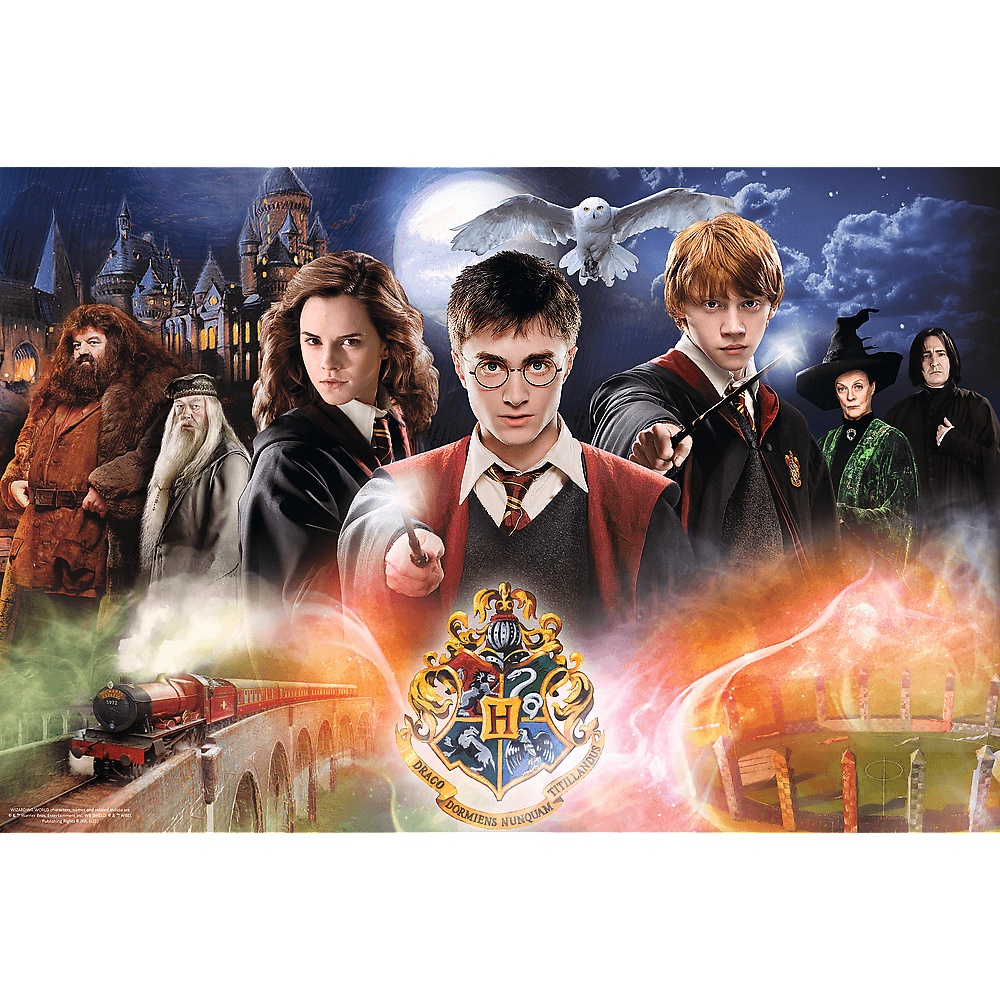 Puzzle Harry Potter 300 El. Tajemniczy Harry Potter