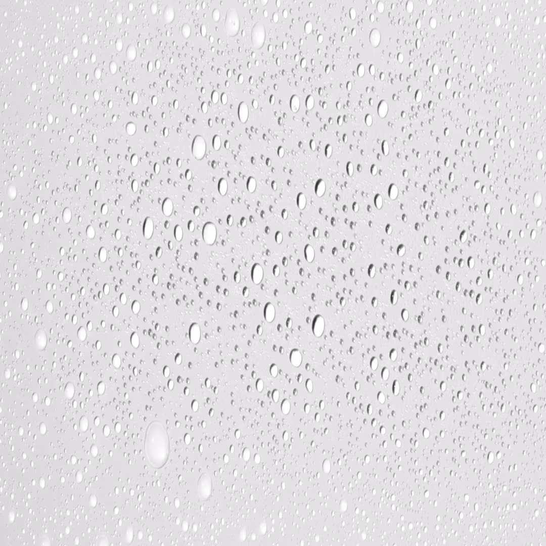 Biolage  Thermal Setting Spray