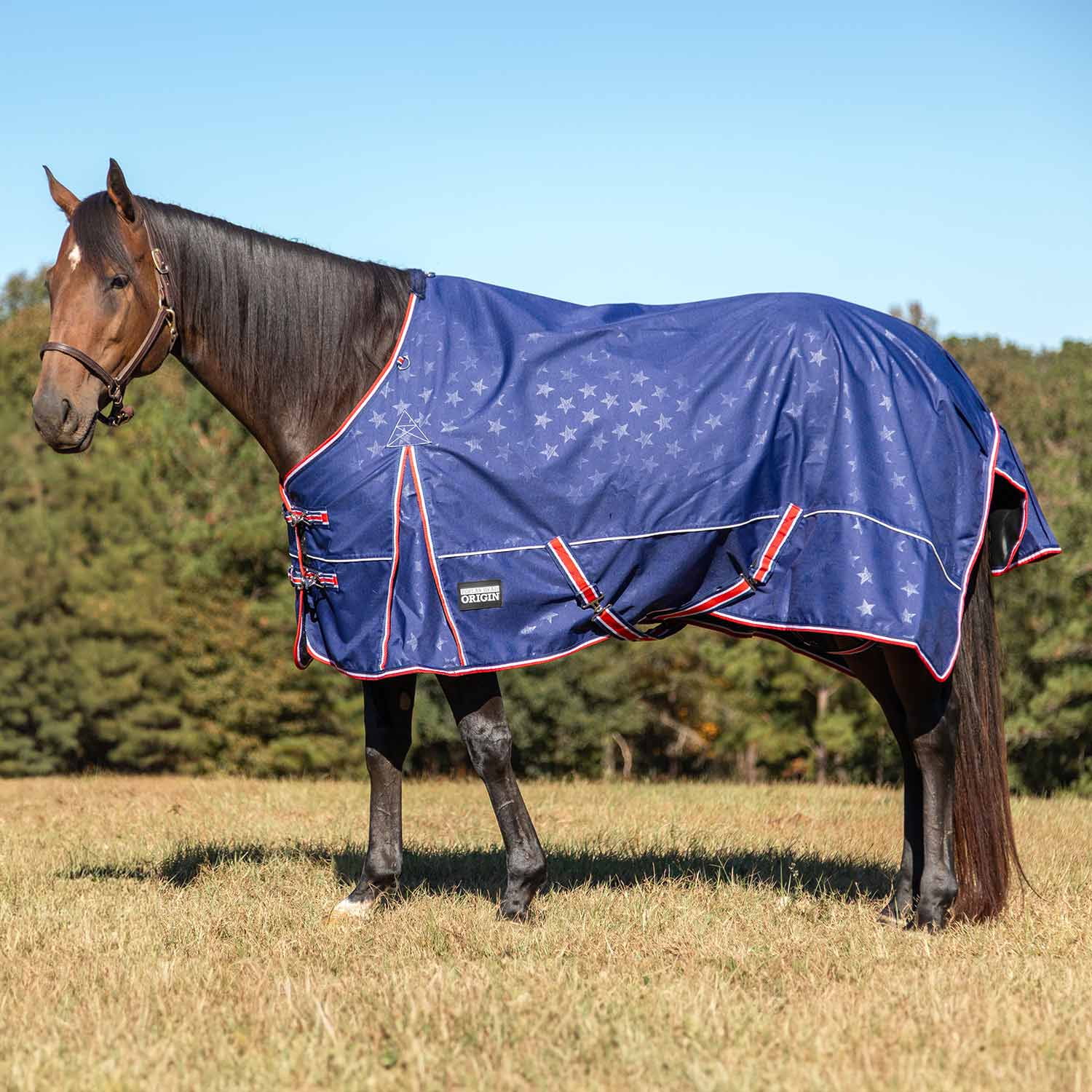 Jeffers Poplar Head Origin 600 Denier Turnout Blanket | 240 Gram Polyfill | Waterproof, Breathable, Horse Blanket for Cold Weather | Navy with Star Print, Adjustable Straps, Fits 72