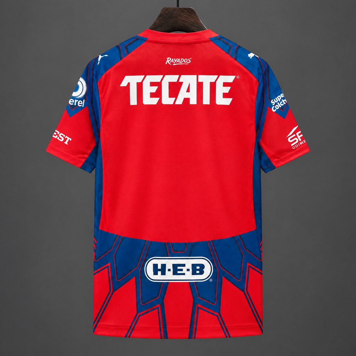 2026/2027 Rayados Monterrey Goalkeeer Football Shirt ( Kids Kit socks）