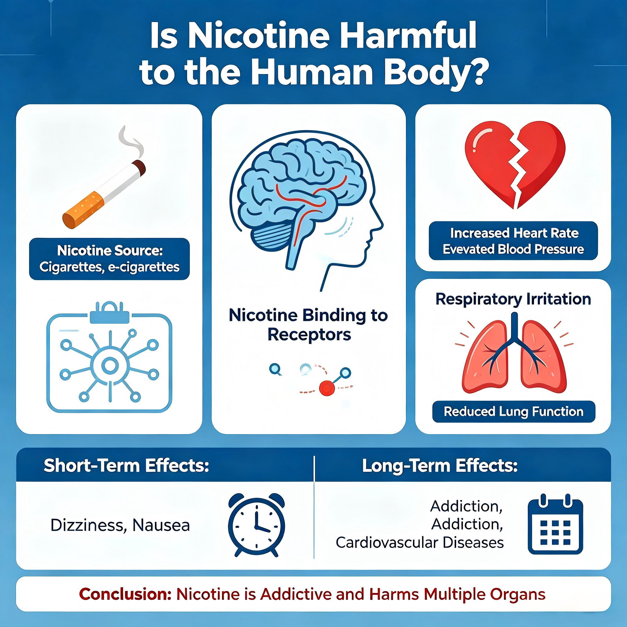 Is Nicotine Really Harmful to Your Body? The Truth Behind the Biggest Nicotine Myth