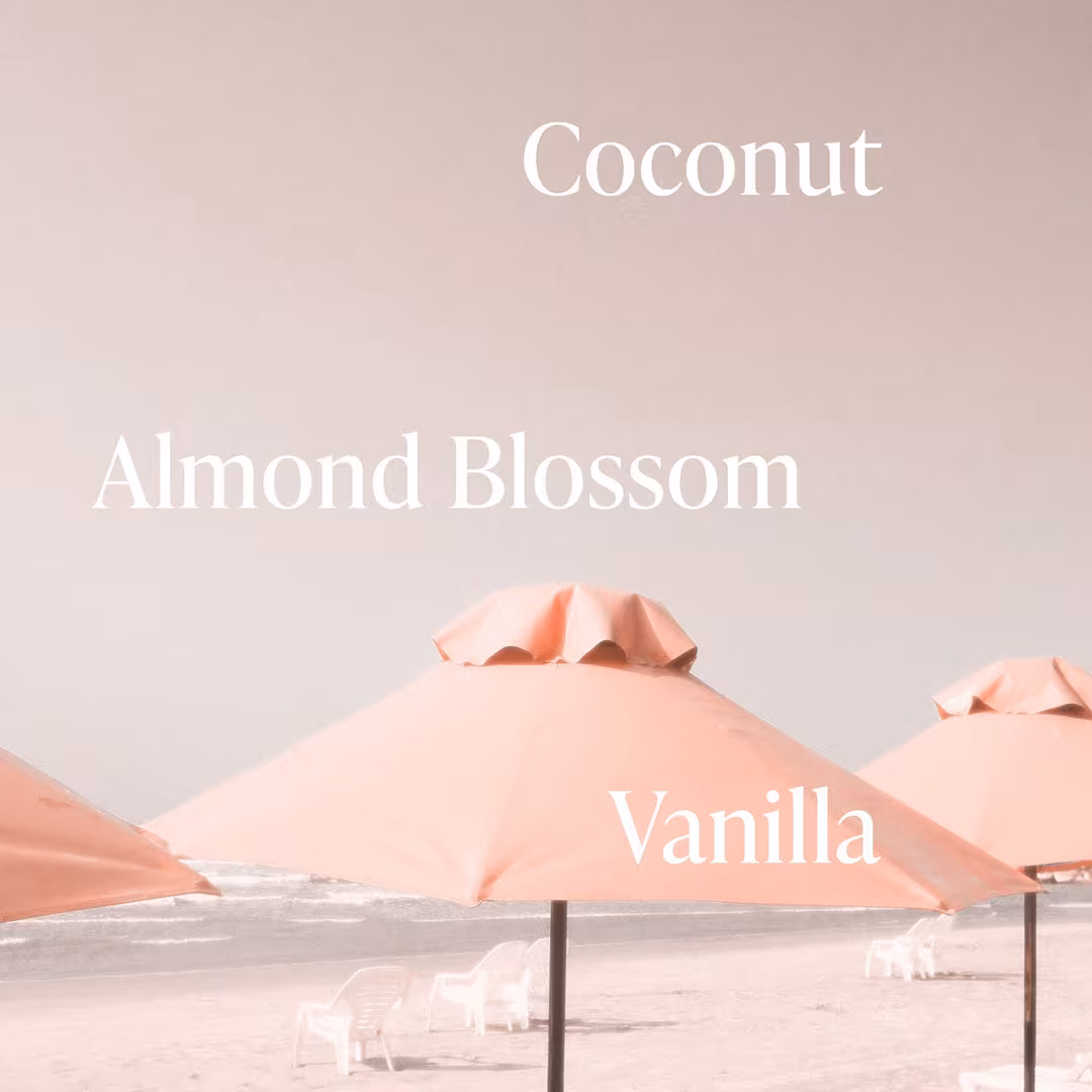Saltair  Pink Beach Skincare Deodorant
