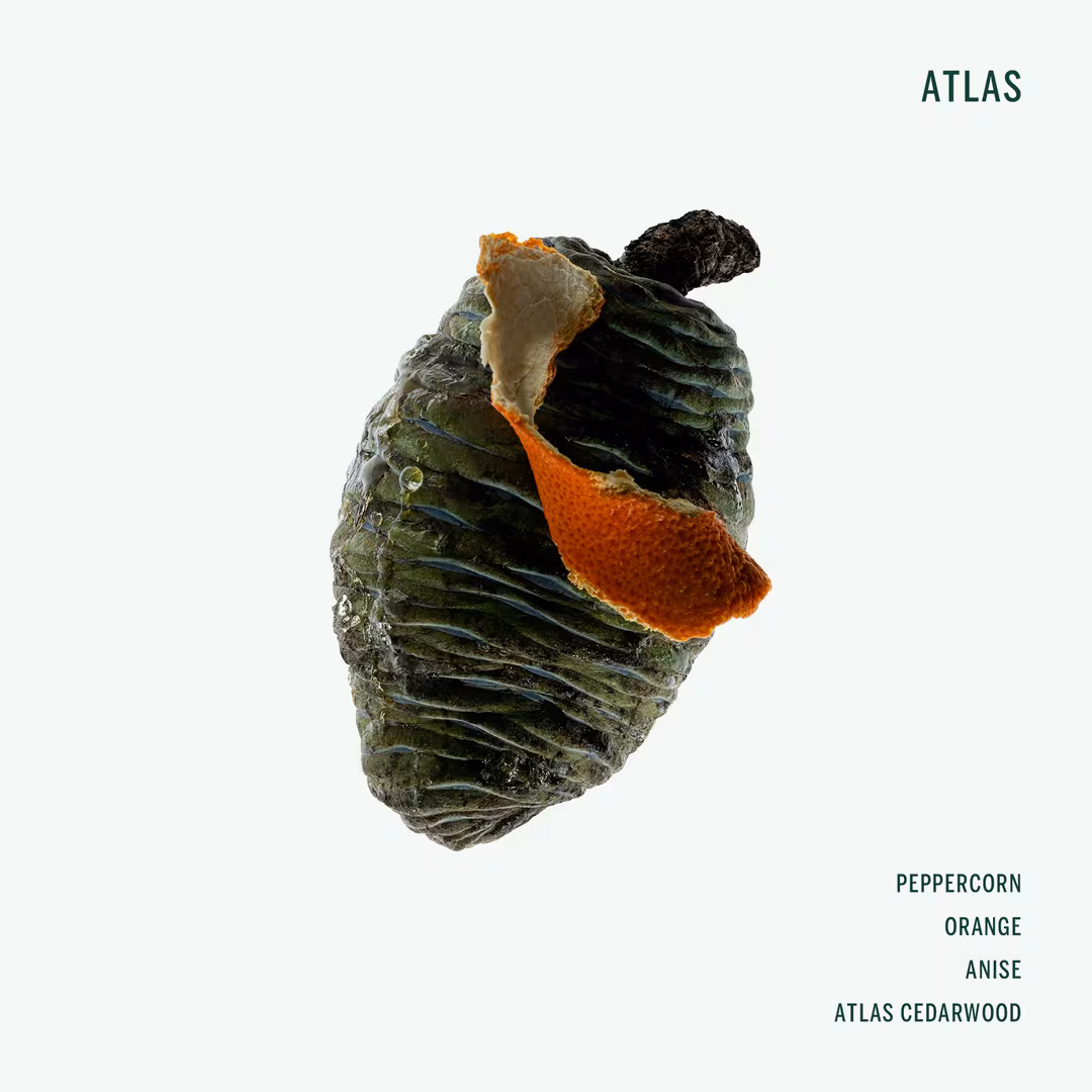 CORPUS  Atlas Deodorant Stick