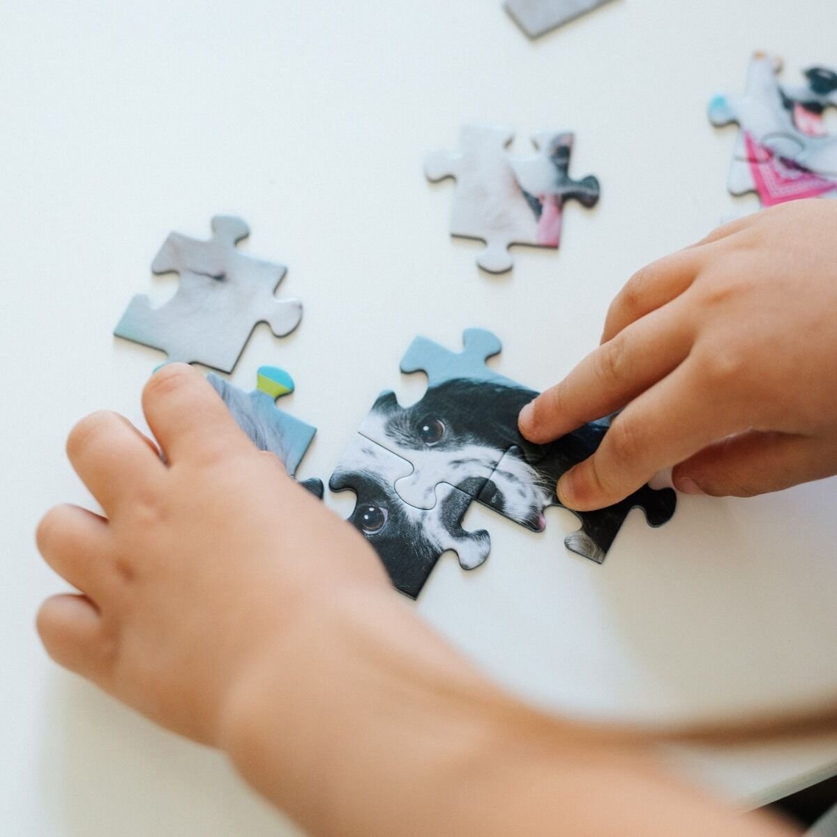 Puzzle Ramkowe 2W1 Psi Patrol Wesoły Psi Patrol