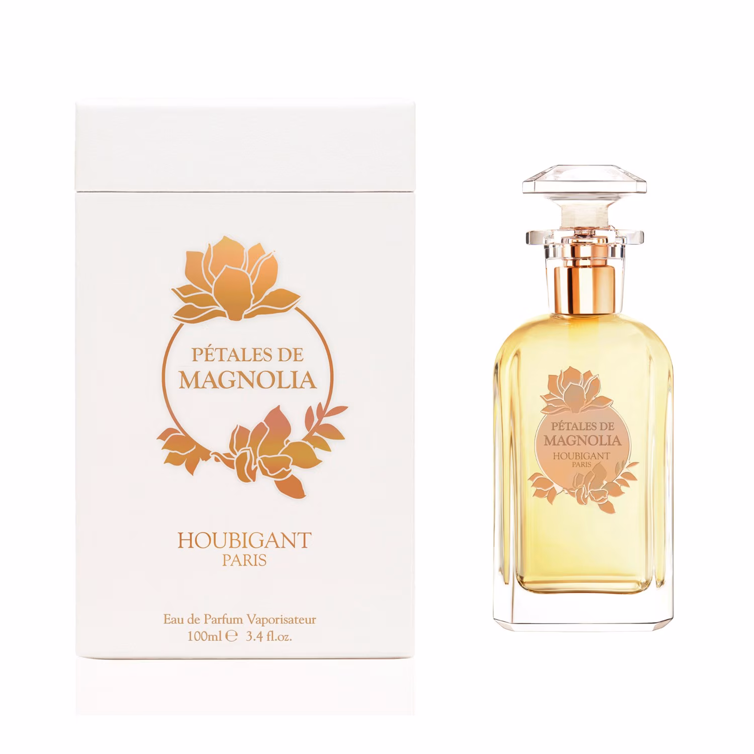 Pétales de Magnolia