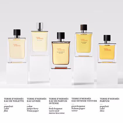 HERMÈS Terre d'Hermès Parfum for him 75ML