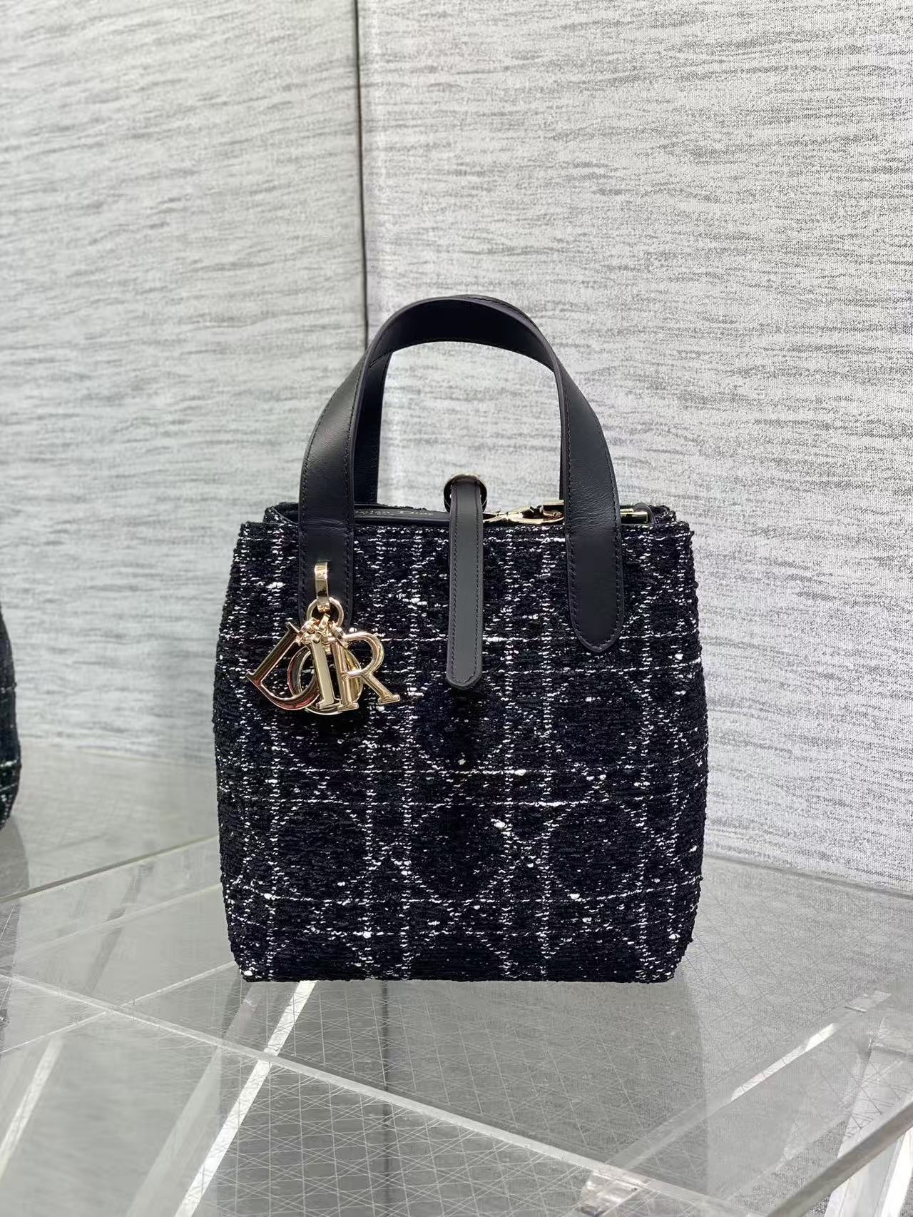 Dior Toujours Vertical Tote Bag