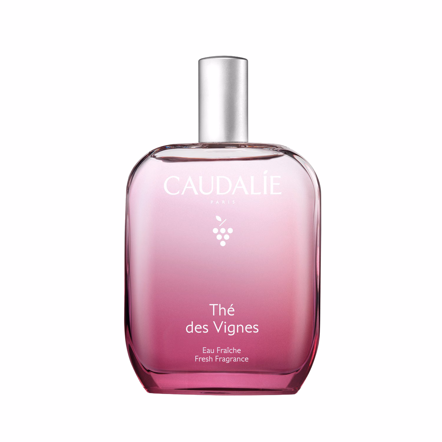 THÉ DES VIGNES