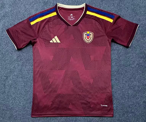 Fan version 2026 Venezuela Home
