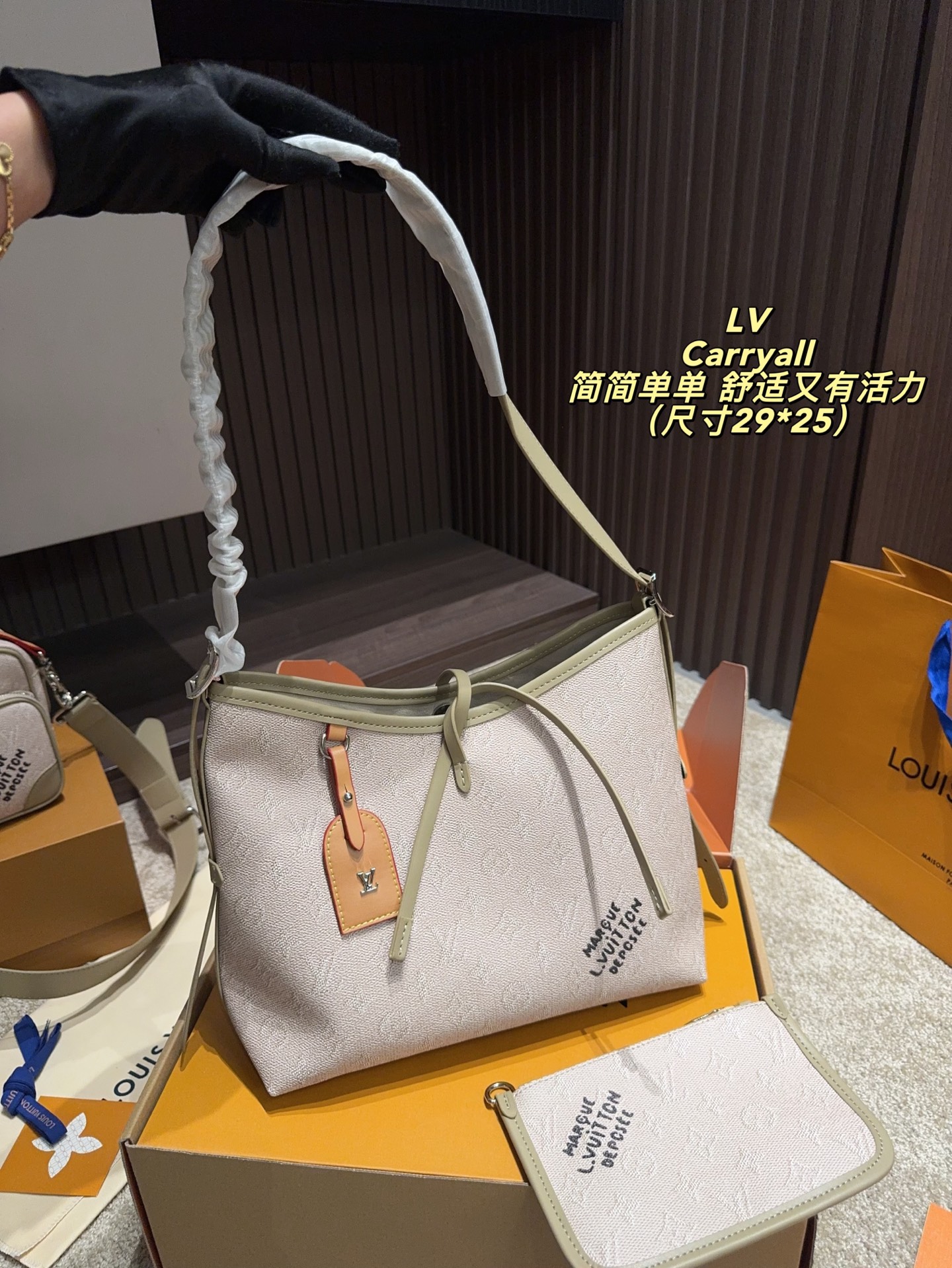 LV Carryall PM Monogram Bag