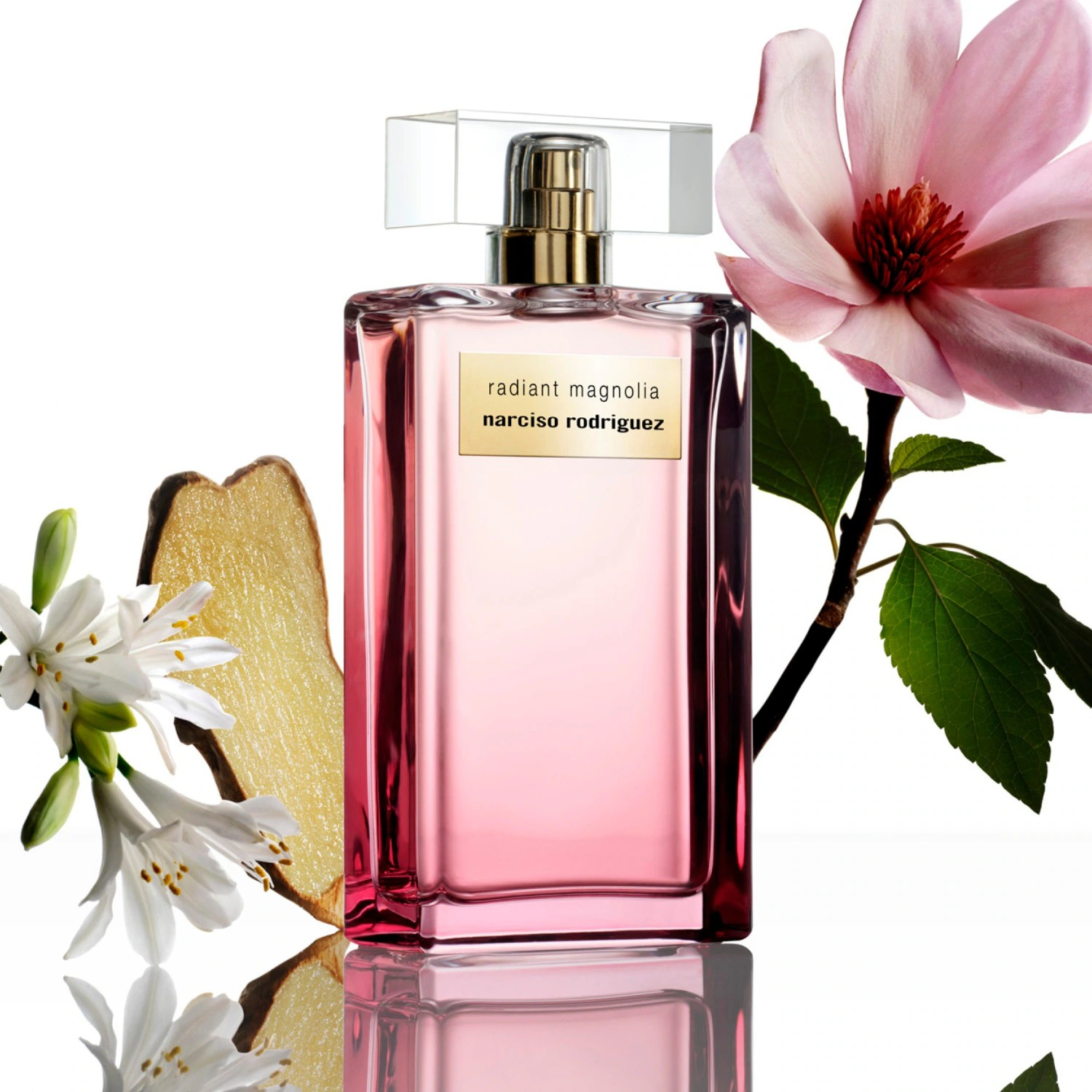 Radiant Magnolia