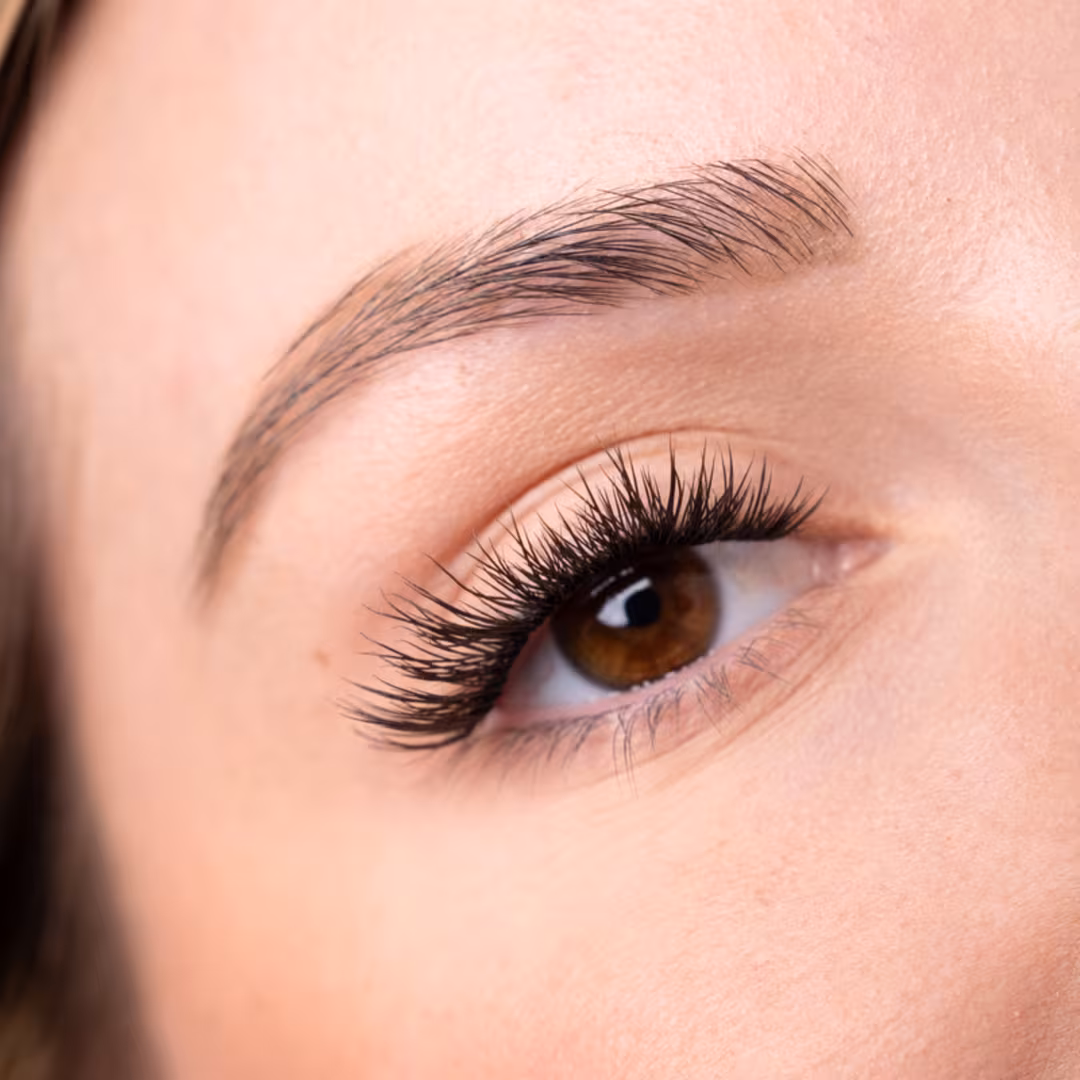 TAD  Gaze Stripment DIY Lash Clusters Intro Kit