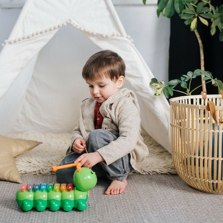 Koncertowa Gąsieniczka