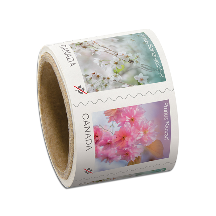 Cherry Blossoms (2026): 200Pcs - coil of 50 Permanent™ stamps