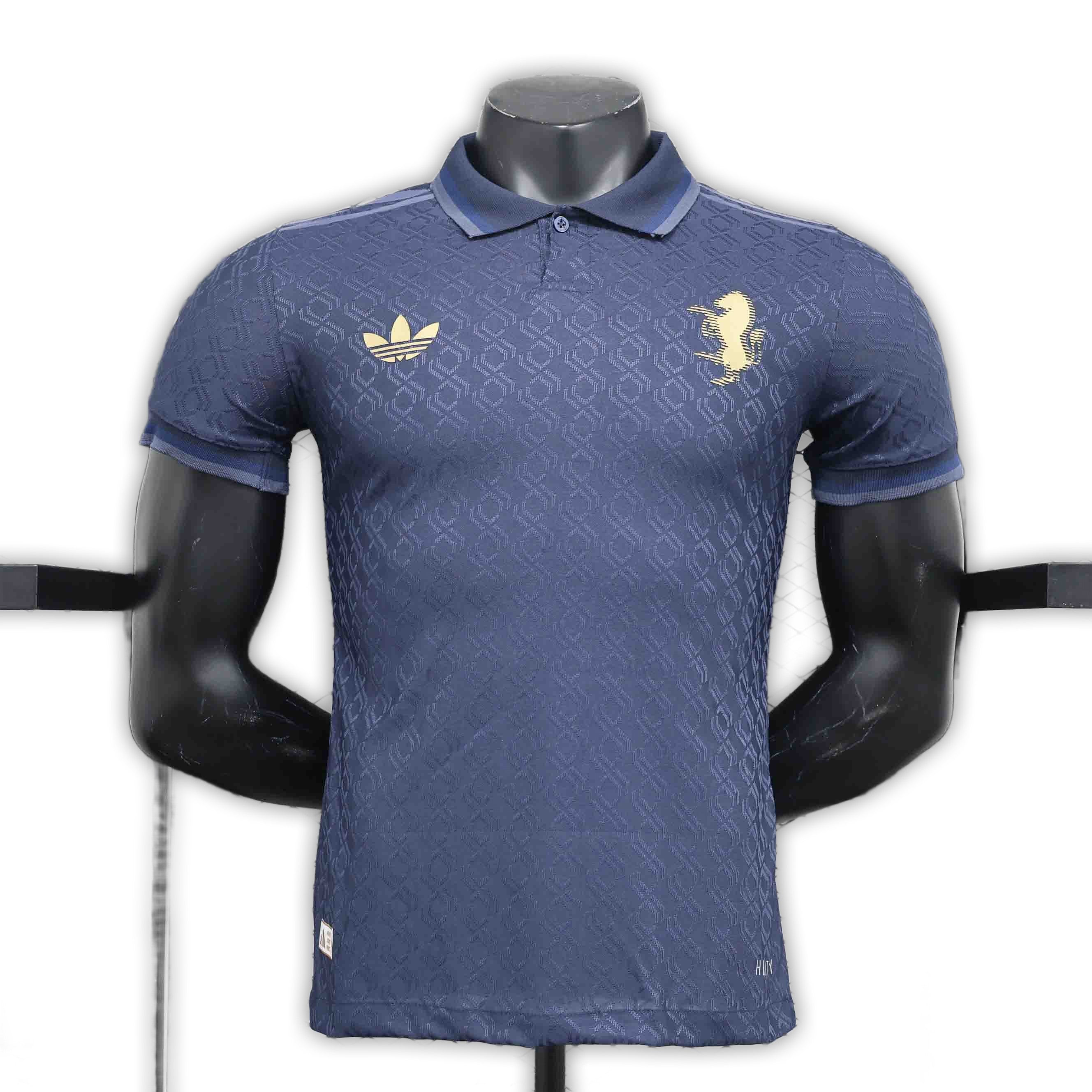 Juventus 2024/25 Third Player Version