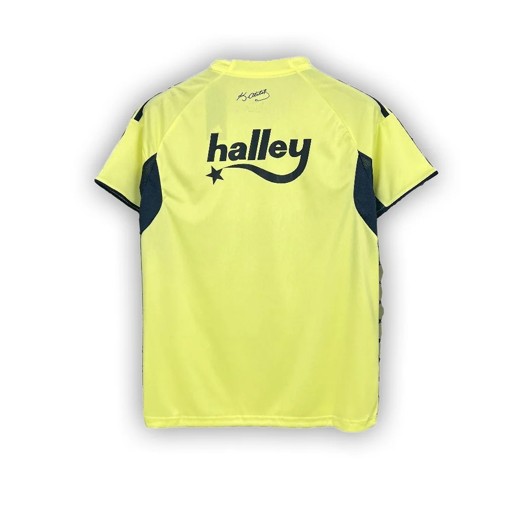 Fenerbahce 2025/26 Away