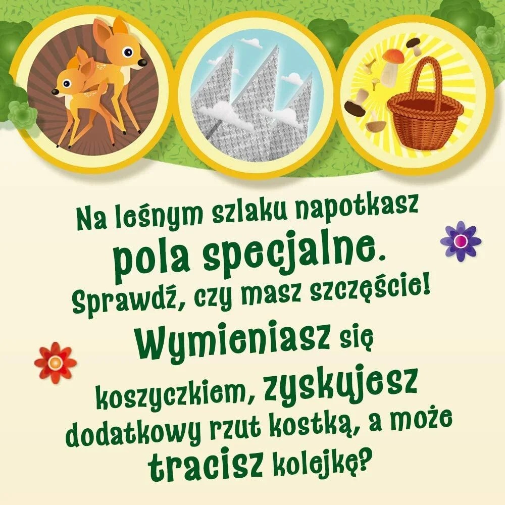 Gra Planszowa Grzybobranie W Zielonym Gaju